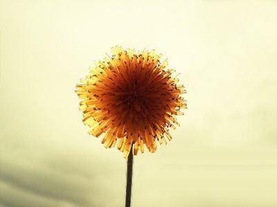 你有早春心理烦躁症吗？