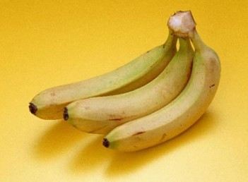 识别化学水果：催熟香蕉果皮表面无梅花点