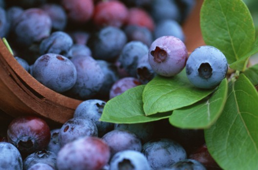 白领常吃蓝莓可以预防干眼症