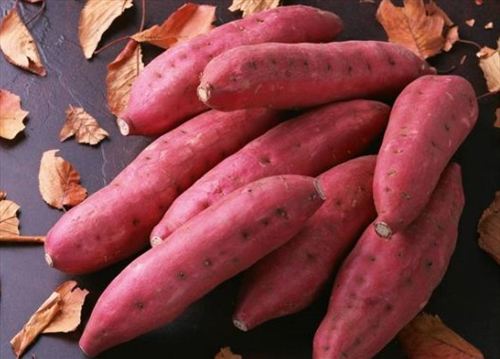 养胃菜盘点：常食红薯可增加食欲消食化积