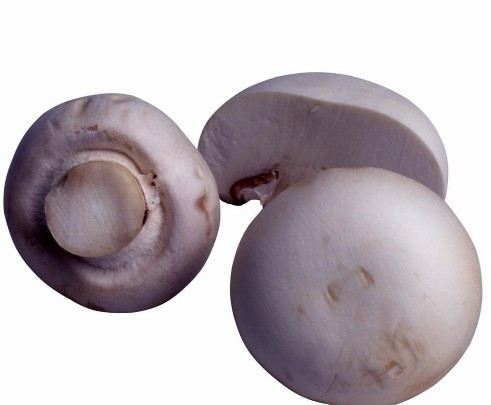 9大营养食物 让乳腺增生无所遁形！