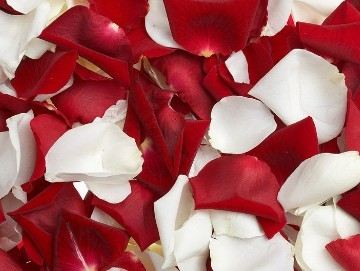 6类食物最适合女性去火