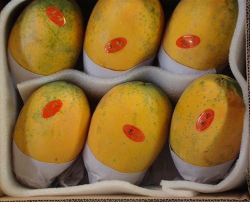 女人必看史上最全饮食丰胸秘法