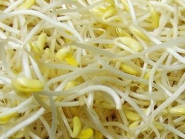 八款生活中常见的平价营养高手