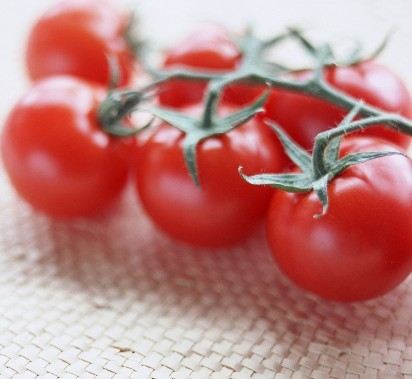 番茄你不知道的小秘密