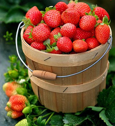 养生：常吃这10种食物不爱生病