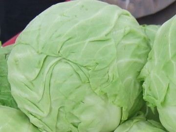 各个身体器官最爱的食物