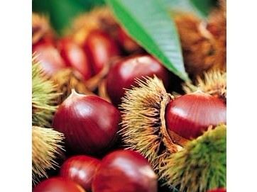 栗子的8种去皮法