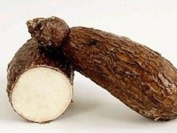 四蔬菜有毒 吃之前一定要焯水