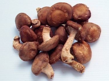 冬季常吃这12种食物能清脂御寒