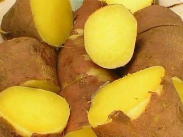 红薯是长寿圣品 冬季食用有讲究