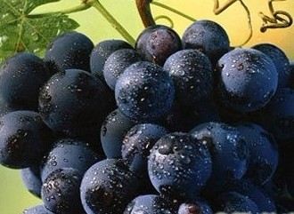 葡萄这样吃最容易生病