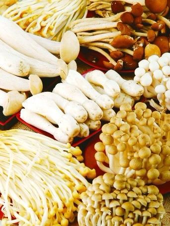 女性吃9种食物为乳房补充营养