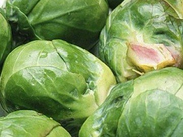 春季健康指南：卷心菜的7大保健功效