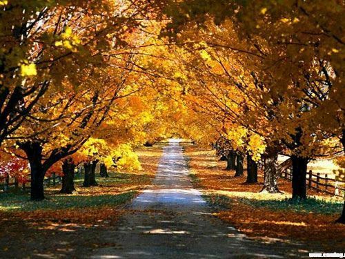 六种生活习惯帮你增寿