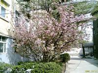 托老所，生活不能自理老人的家