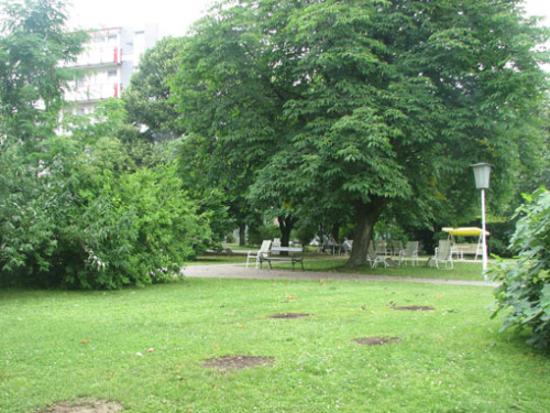 清新宜人的环境，海鸥老人