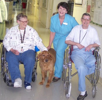 各省平均工资排序,各省平均工资排序