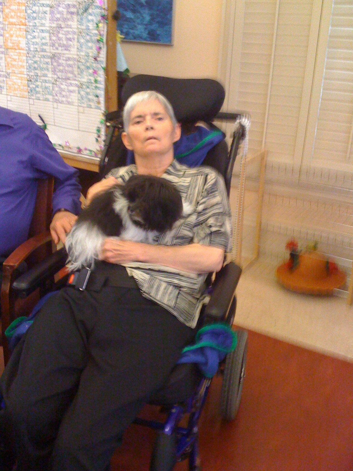 如何预防老年痴呆