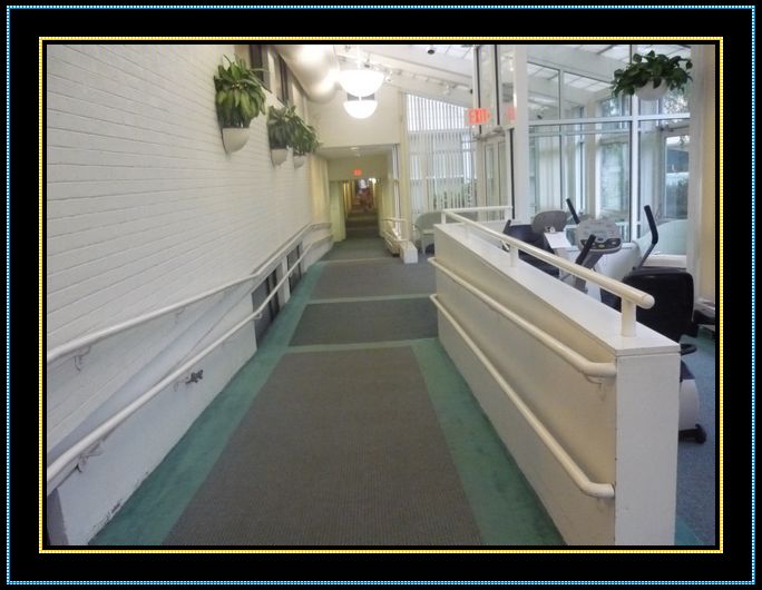 实拍美国养老院