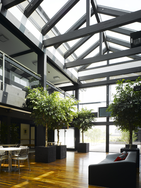 美国的养老院 阳光明媚的大厅