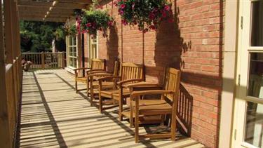 三星级的外国养老院 晒太阳的地方