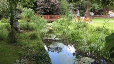 三星级的外国养老院