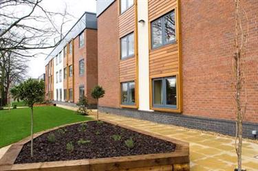 三星级的外国养老院