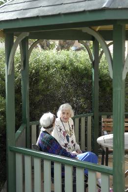 凉亭中 翠绿中的老人