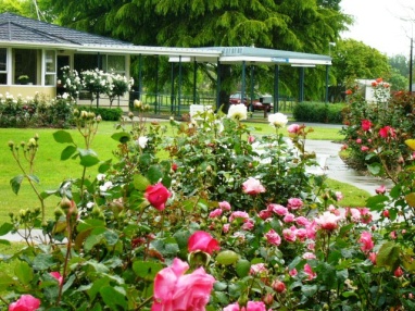 鲜花盛开的养老院