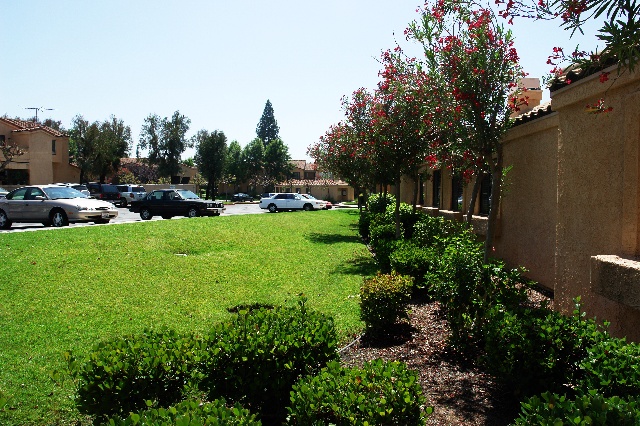 美国的老人公寓什么样